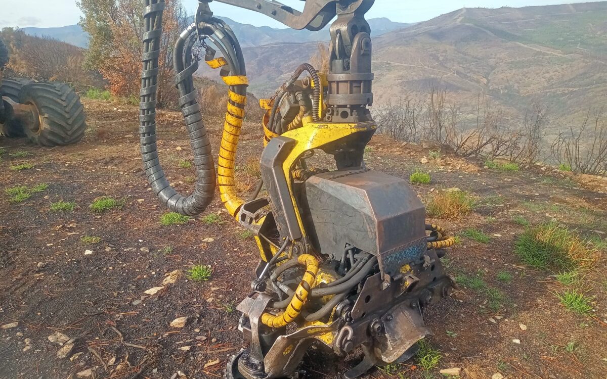 WhatsApp Image 2022-11-05 at 10.10.04 (1)