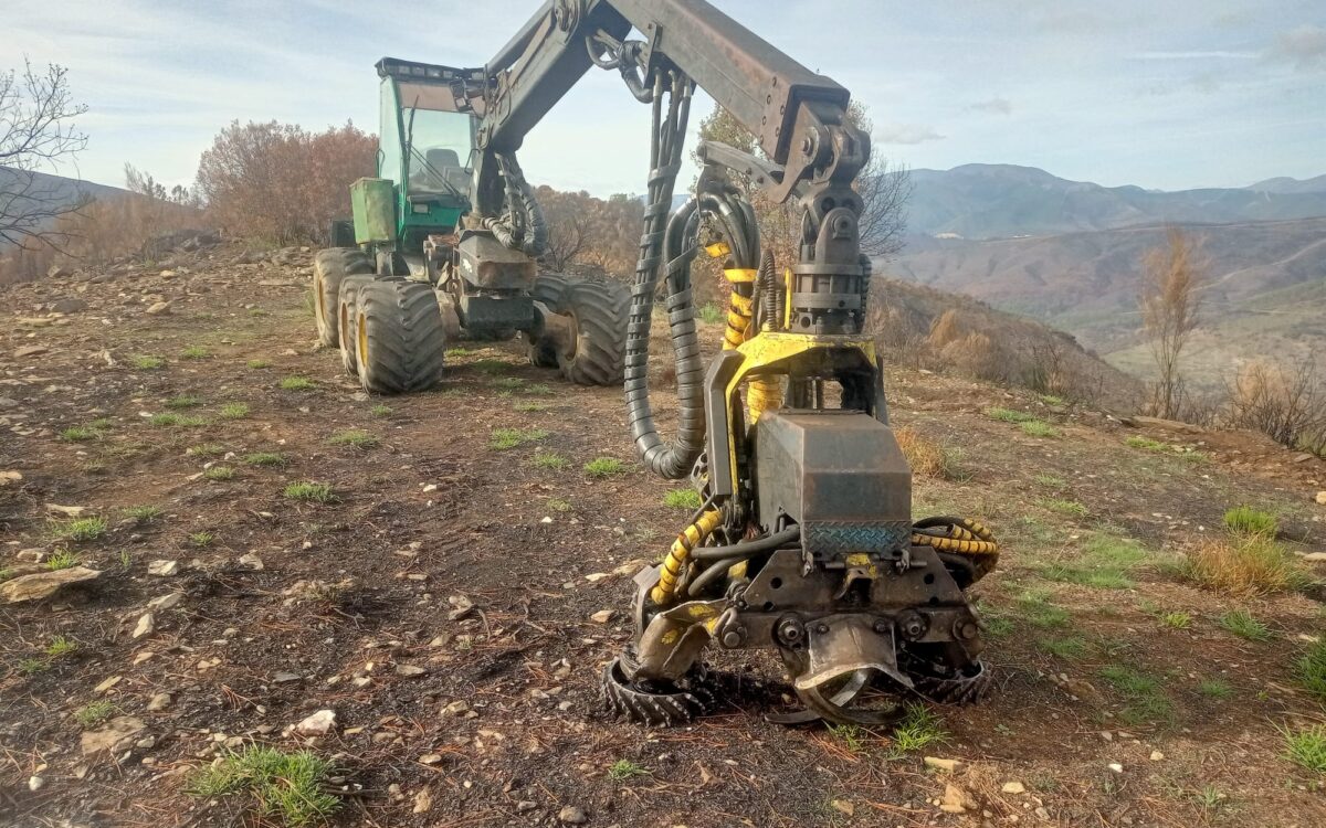 WhatsApp Image 2022-11-05 at 10.10.04 (2)