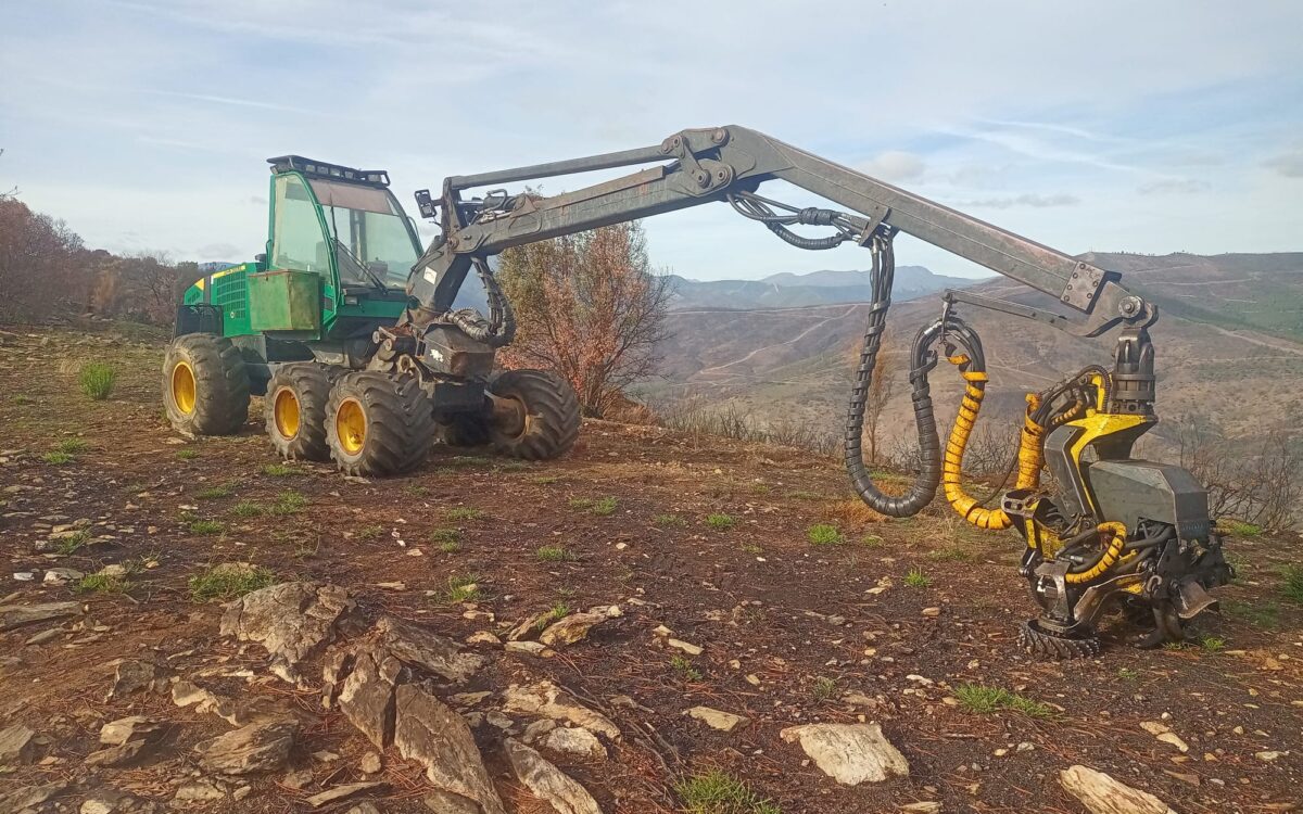 WhatsApp Image 2022-11-05 at 10.10.04 (3)