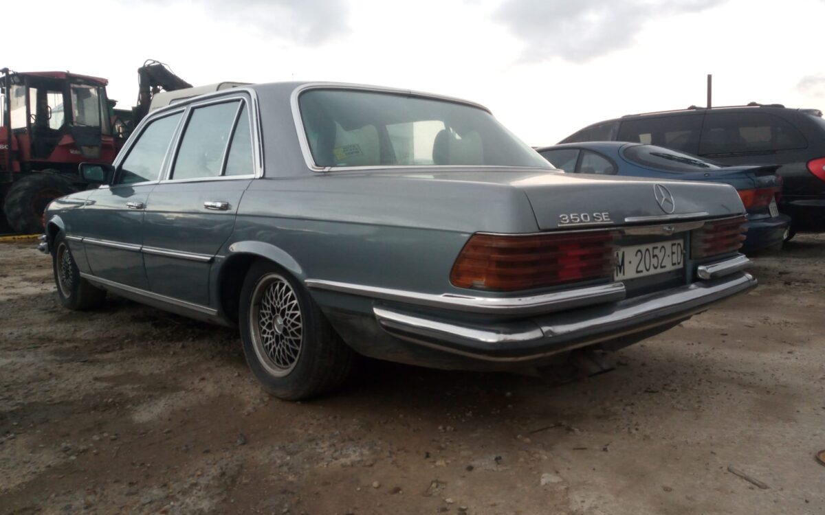 WhatsApp Image 2022-12-18 at 01.47.03 (1)