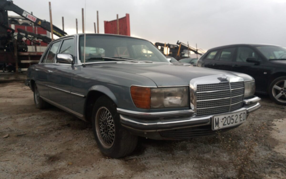 WhatsApp Image 2022-12-18 at 01.47.04 (1)