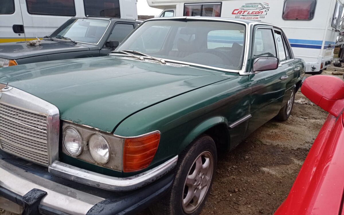 WhatsApp Image 2022-12-19 at 20.28.10