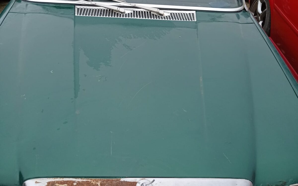 WhatsApp Image 2022-12-19 at 20.28.11