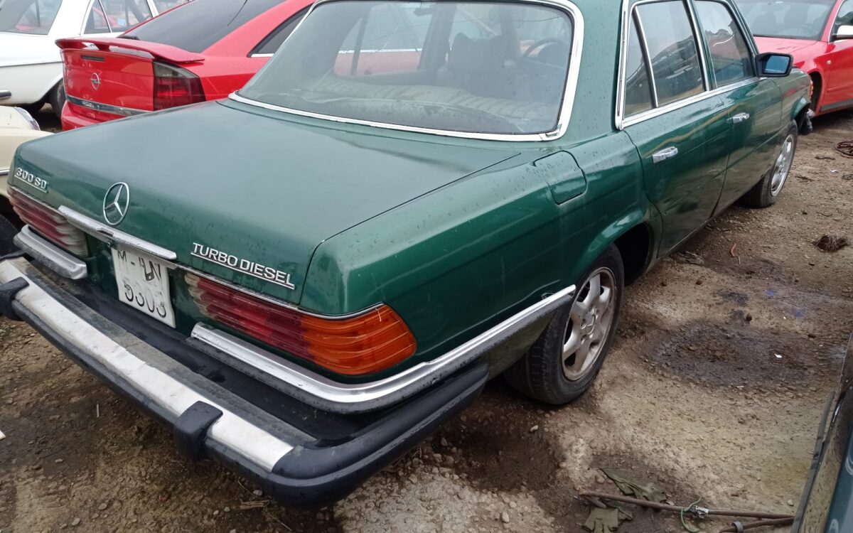 WhatsApp Image 2022-12-19 at 20.28.11 (4)