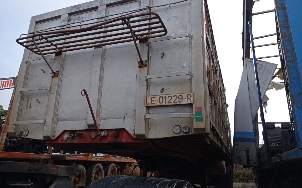 WhatsApp Image 2023-04-23 at 07.28.32