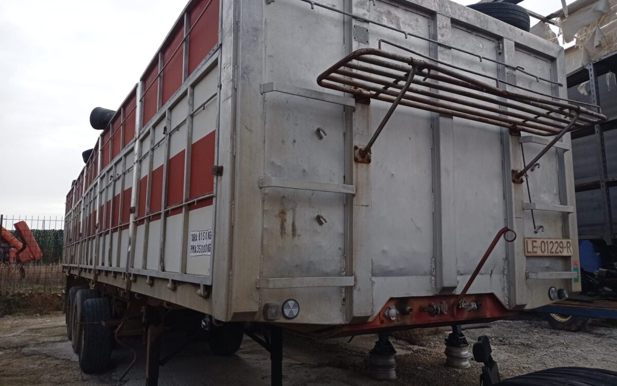 WhatsApp Image 2023-04-23 at 07.28.33