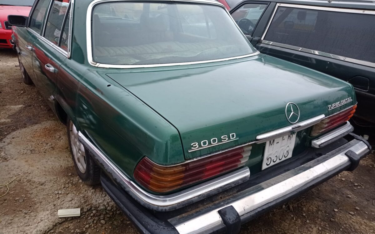 WhatsApp Image 2022-12-19 at 20.28.12