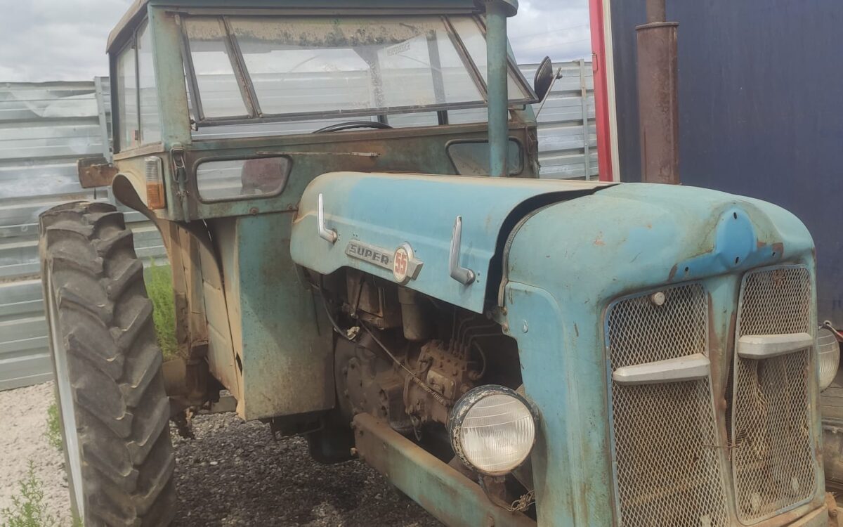 WhatsApp Image 2023-09-03 at 07.56.41