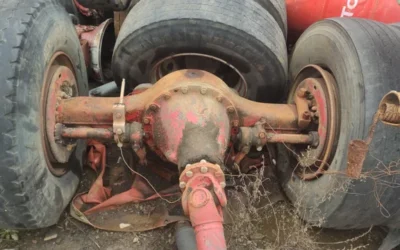 Eje completo de pegaso con cardilla