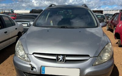 Despiece Peugeot 307 SW