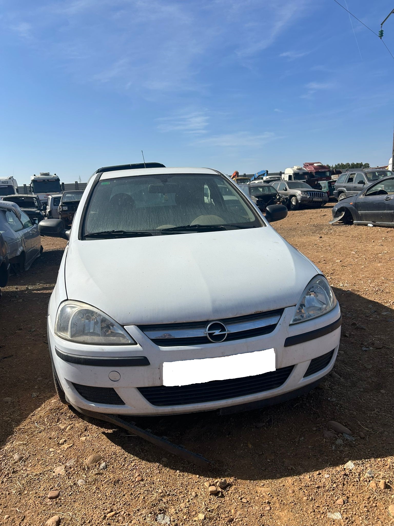 WhatsApp Image 2025-09-06 at 12.03.38 (2)
