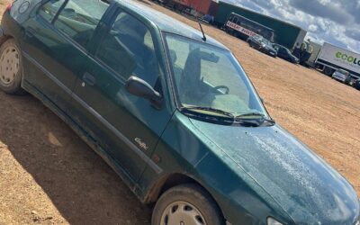 DESPIECE Peugeot 306 Verde