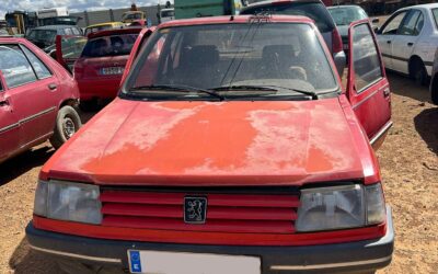 Despiece Peugeot 309