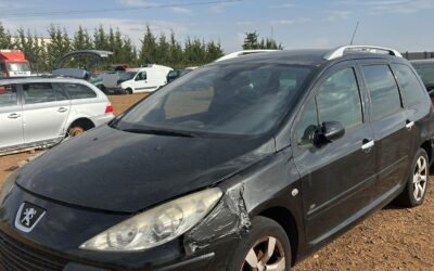 Despiece Peugeot 307 SW