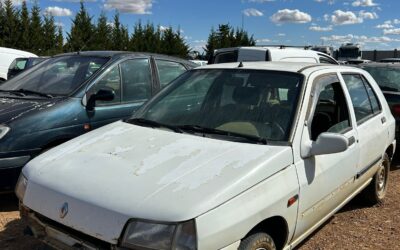 Despiece Renault Clio