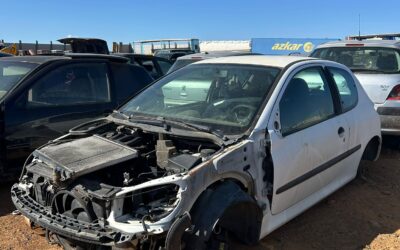 Despiece Peugeot 206