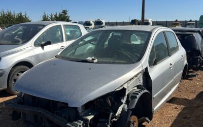 Despiece Peugeot 307
