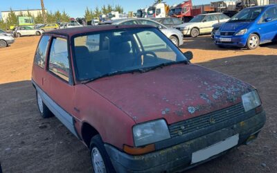 Despiece Renault 5