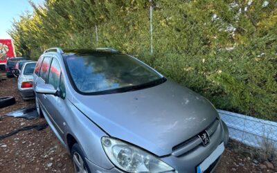 Despiece Peugeot 307 SW