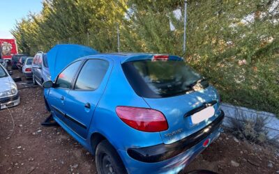 Despiece Peugeot 206